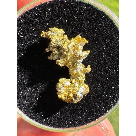 California Native Gold Crystal - 0.83 grams - Picture 5 of 9